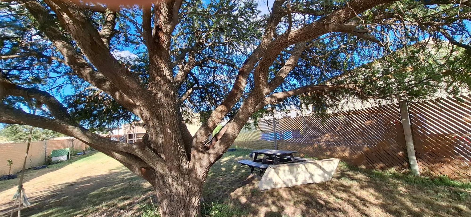 A La Sombra Del Calden Apartment Santa Rosa  Exterior photo